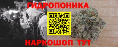 spice Обь